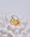 Lustre Tide - ringsMAZONKIKI